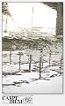 6048-Piccole_onde-1_001-piccole onde